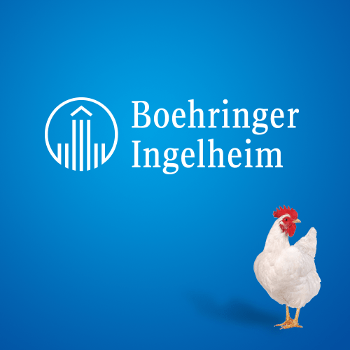 Boehringer Ingelheim – Poultry Division
